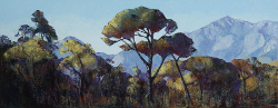 Treescape - Franschhoek Valley | 2018 | Oil on Canvas | 28 x 70 cm